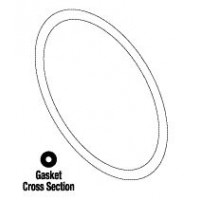 rpi_rcg019_replacement-ritter_m7_autoclave_door_gasket